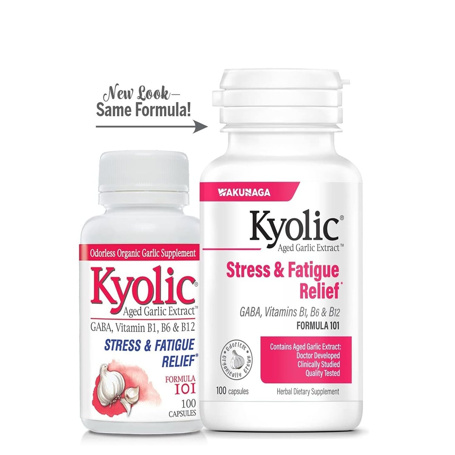 Kyolic Aged Garlic Extract Formula 101, 300 Capsules