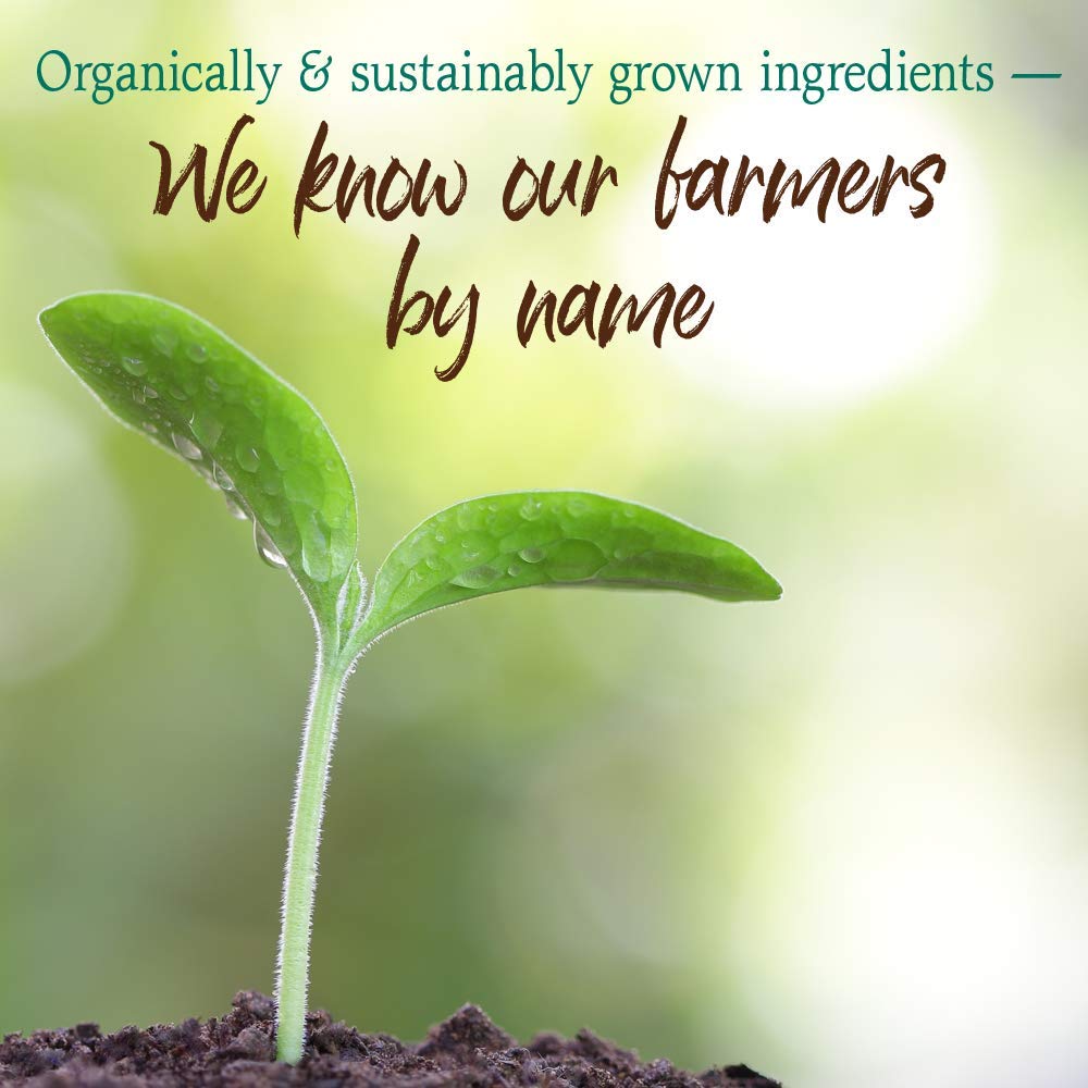 Garden of Life Raw Organic Perfect Food