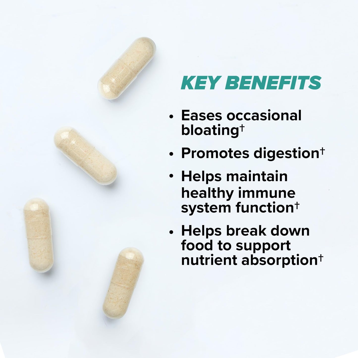 ONNIT Total Gut Health Daily Digestive Support, IGEN™ Non-GMO Tested Digestion Supplement for Women and Men with 7 Strains of Probiotics, Prebiotics, Enzymes and Betaine HCL, 60 Count