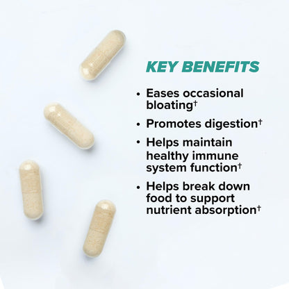 ONNIT Total Gut Health Daily Digestive Support, IGEN™ Non-GMO Tested Digestion Supplement for Women and Men with 7 Strains of Probiotics, Prebiotics, Enzymes and Betaine HCL, 60 Count