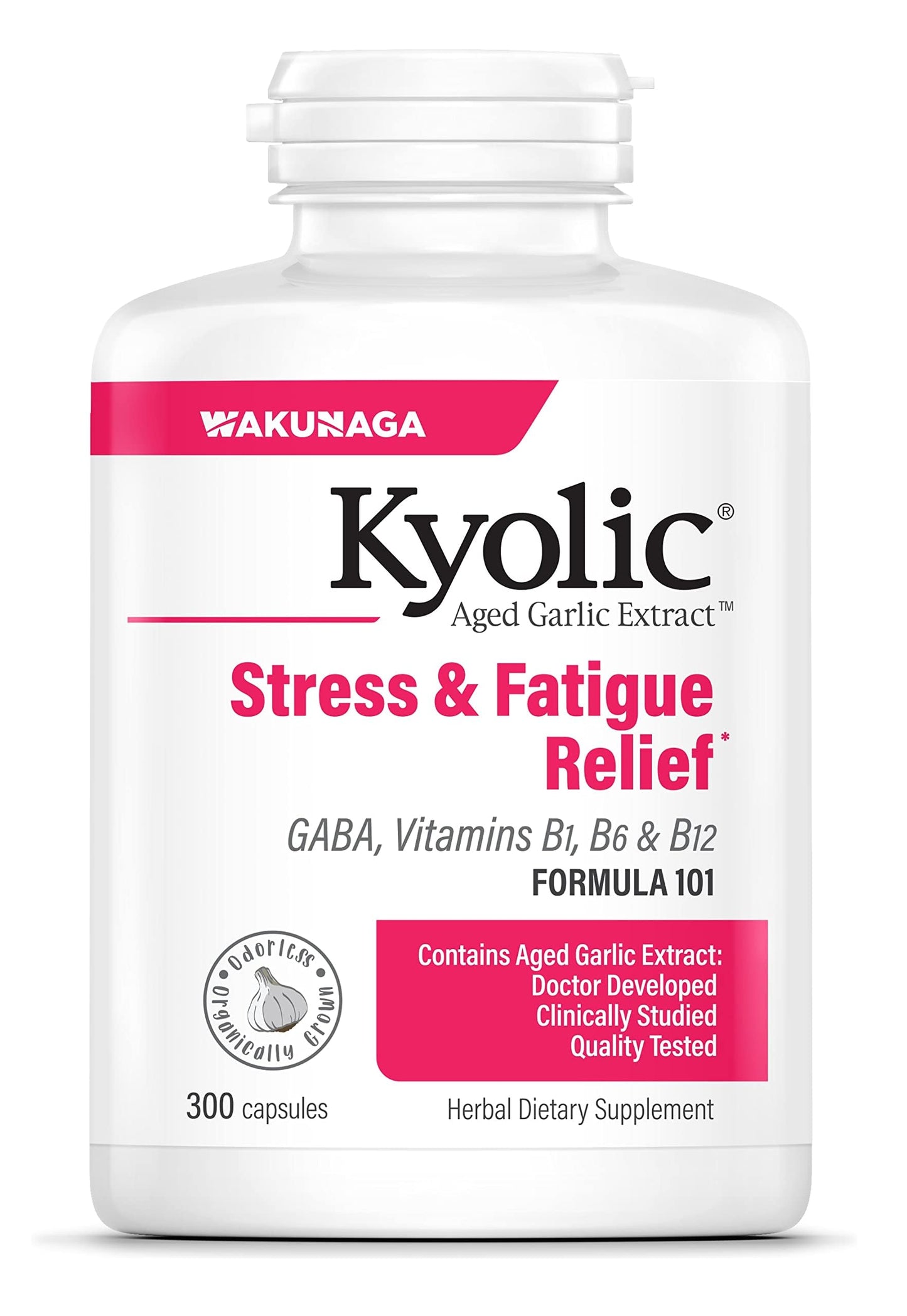 Kyolic Aged Garlic Extract Formula 101, 300 Capsules