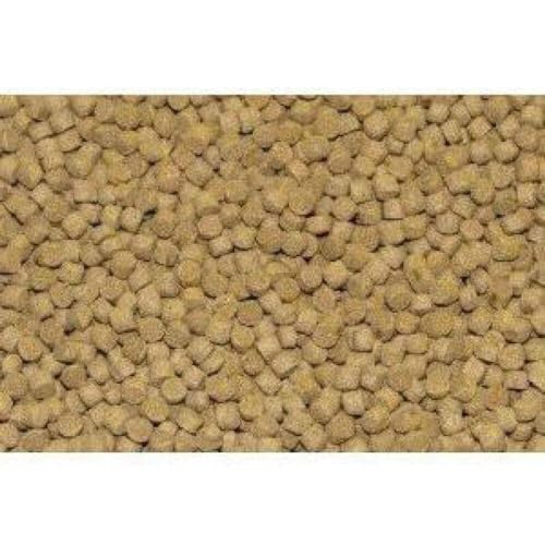 Northfin Cichlid Fish Food Parent