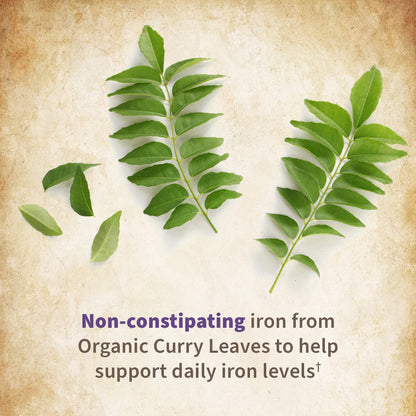 Garden of Life Organics Prenatal Once Daily