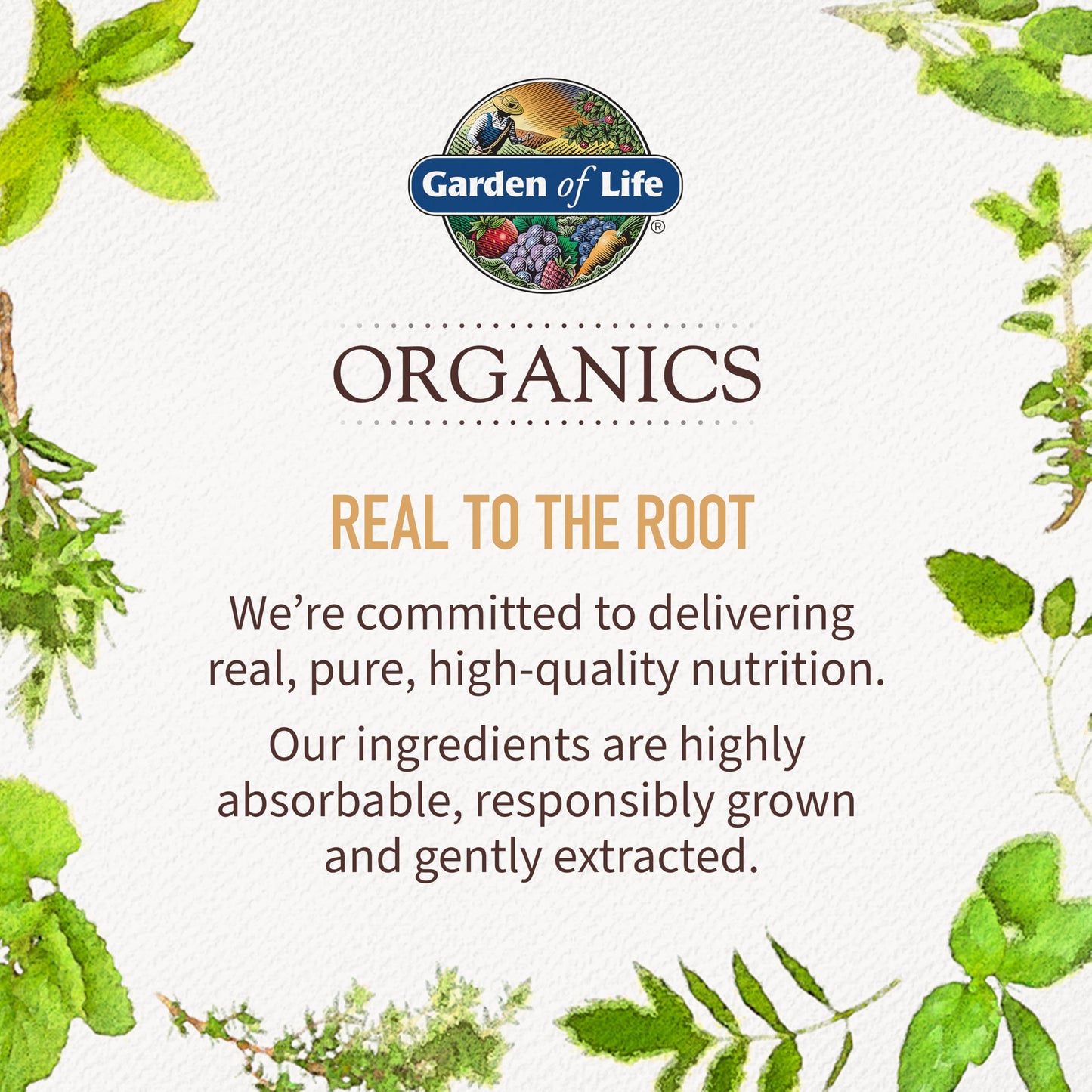 Garden of Life Organics Prenatal