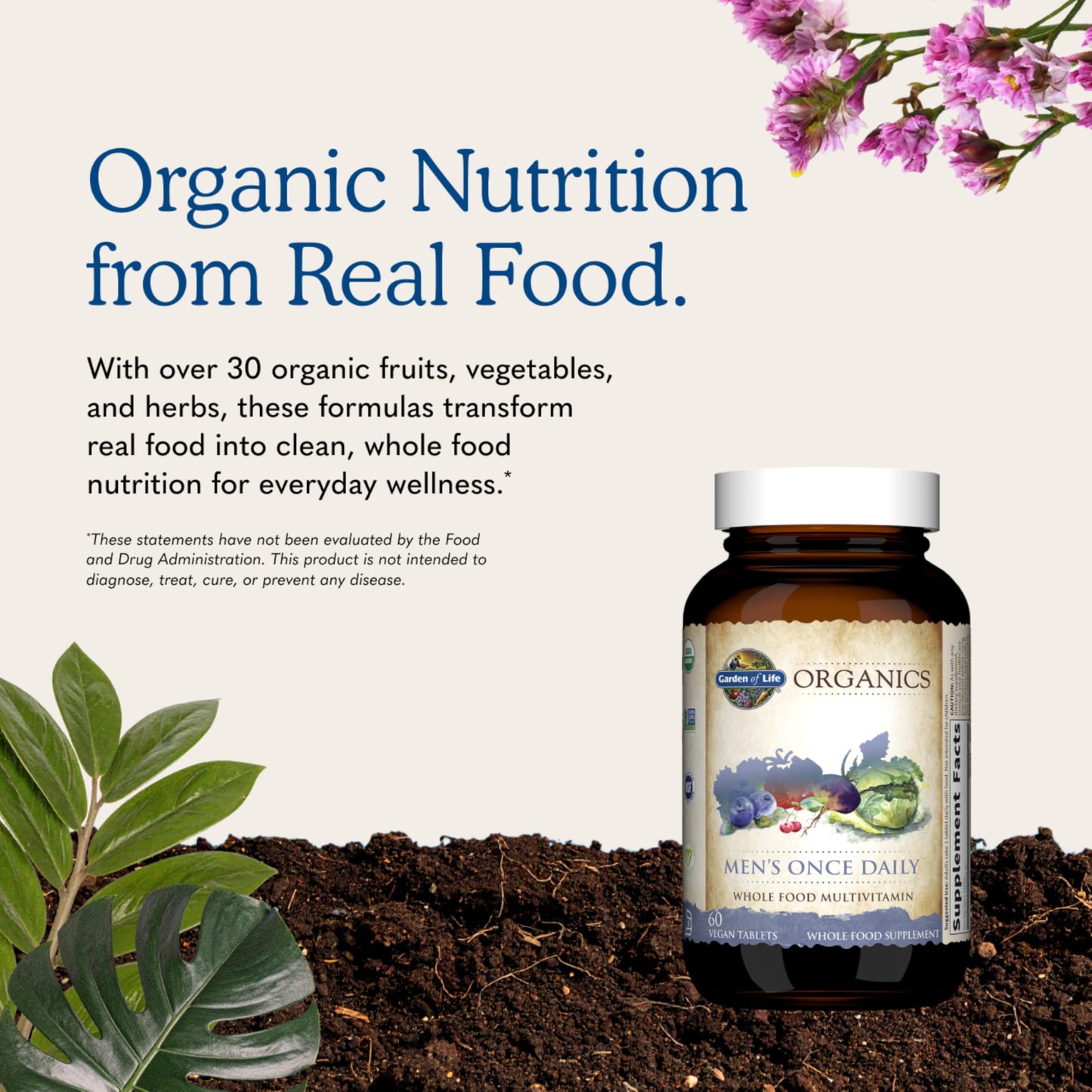 Garden of Life Once Daily Whole Food Multivitamin for Men