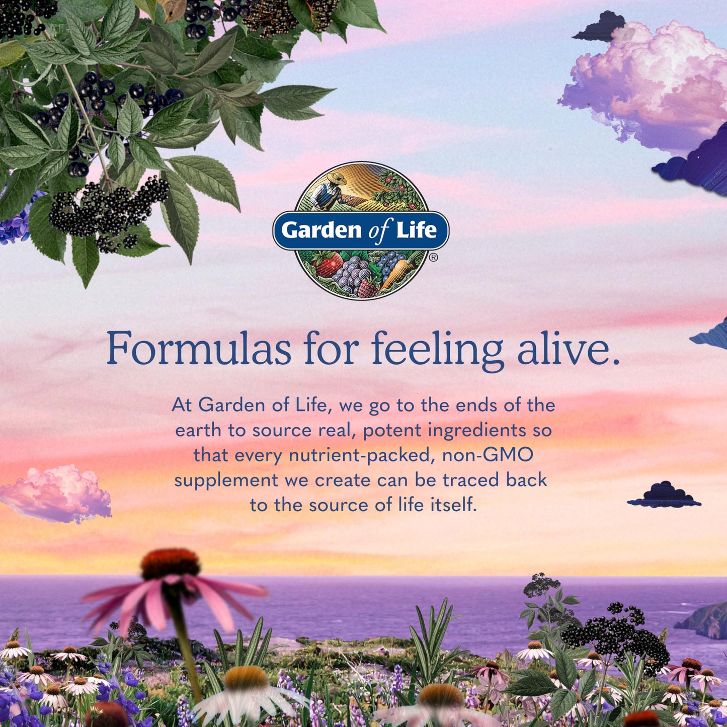 Garden of Life Raw Probiotics Vaginal Care