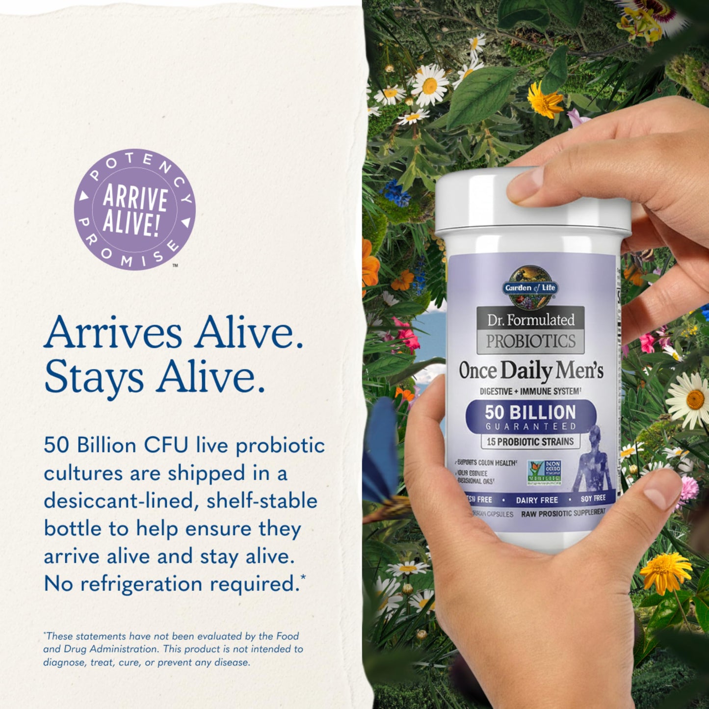 Garden of Life Probiotics for Men