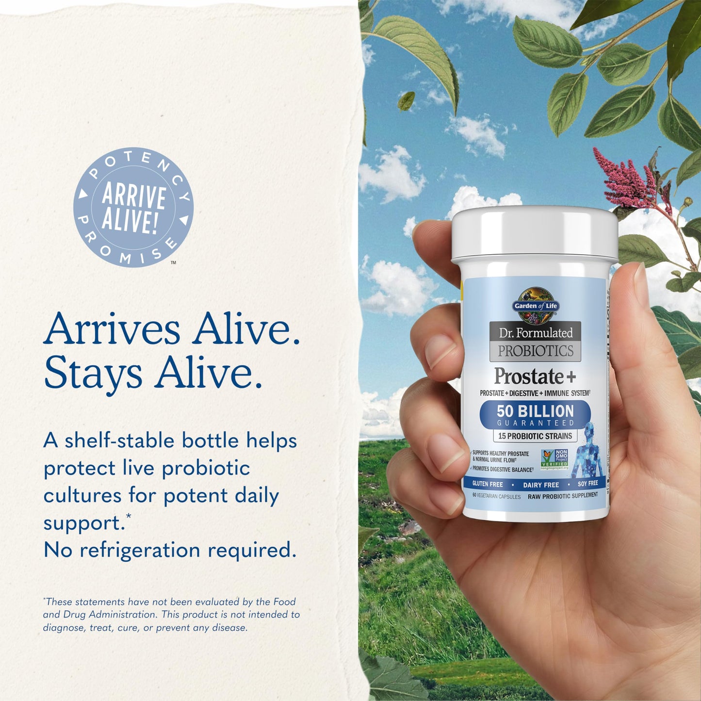 Garden of Life Dr. Formulated Prostate Probiotic