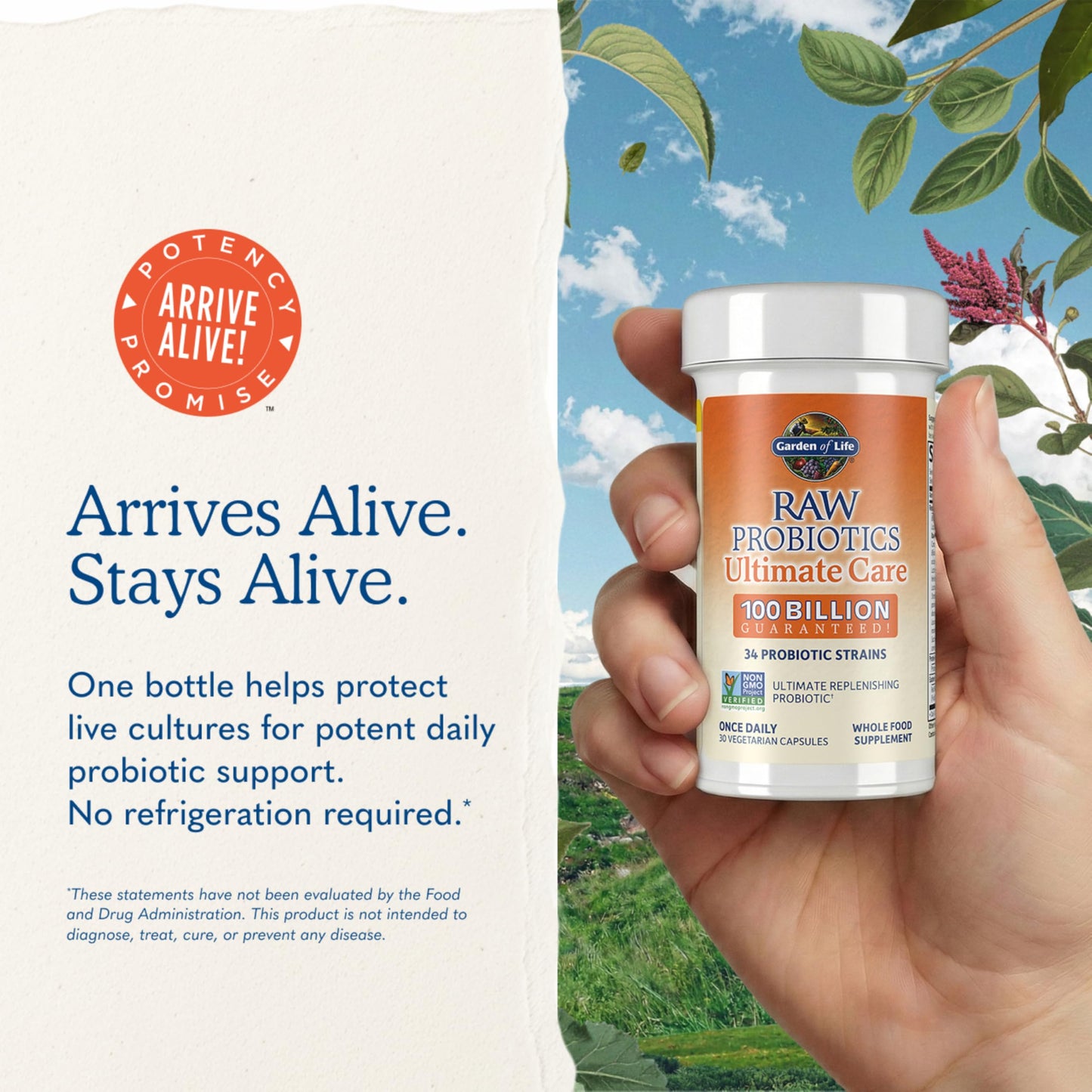 Garden of Life Raw Probiotics Ultimate Care