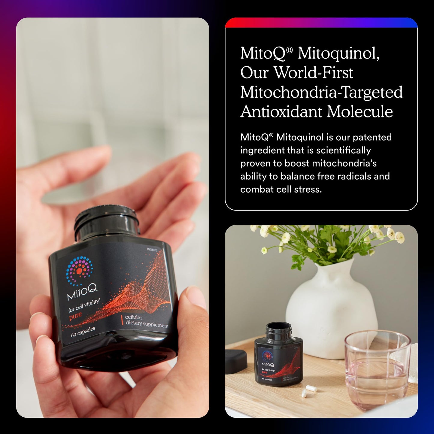 MitoQ Pure Advanced Mitochondria Supplement - Superior CoQ10 Bioavailability
