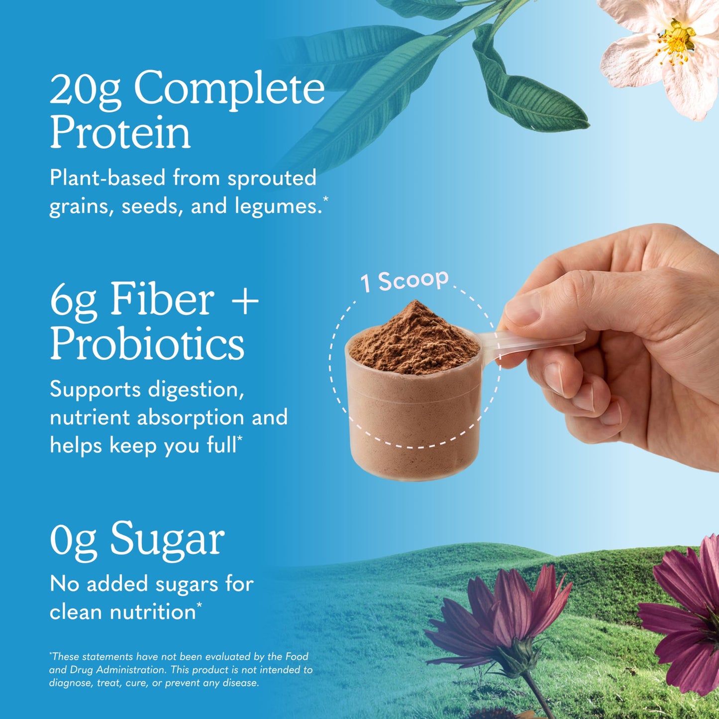 Raw Organic Meal Powder (Vanilla), 34.2 oz (969 g) Bottle