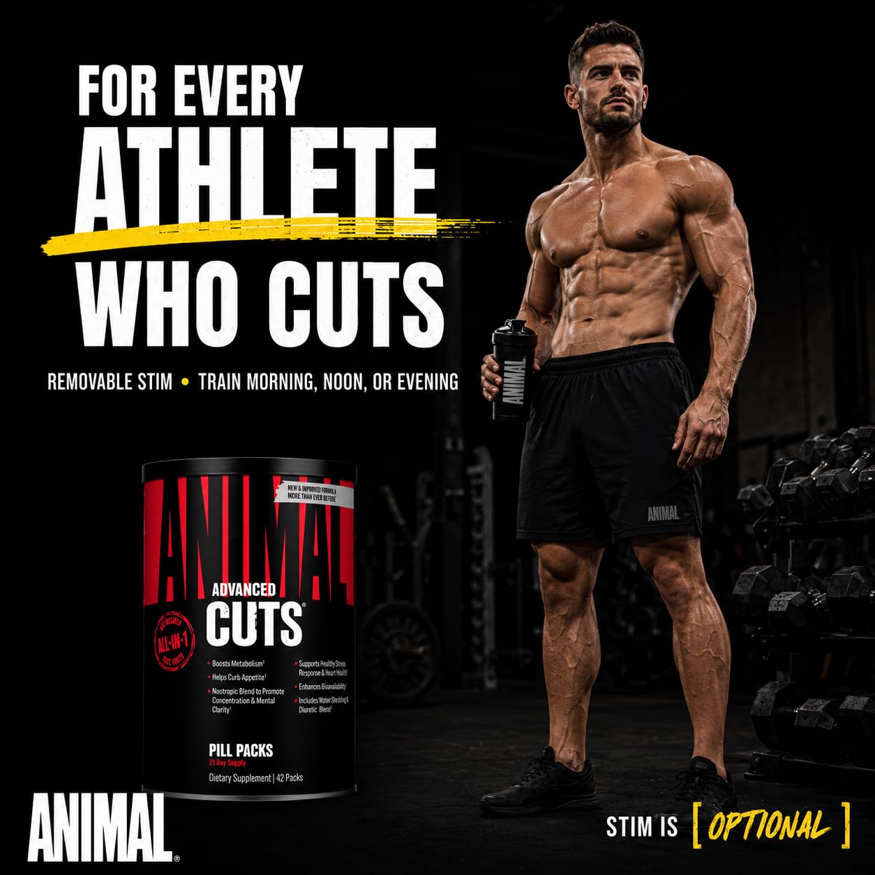 Animal