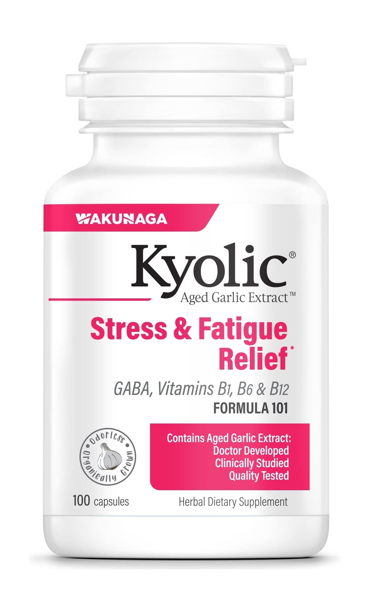 Kyolic Aged Garlic Extract Formula 101, 300 Capsules