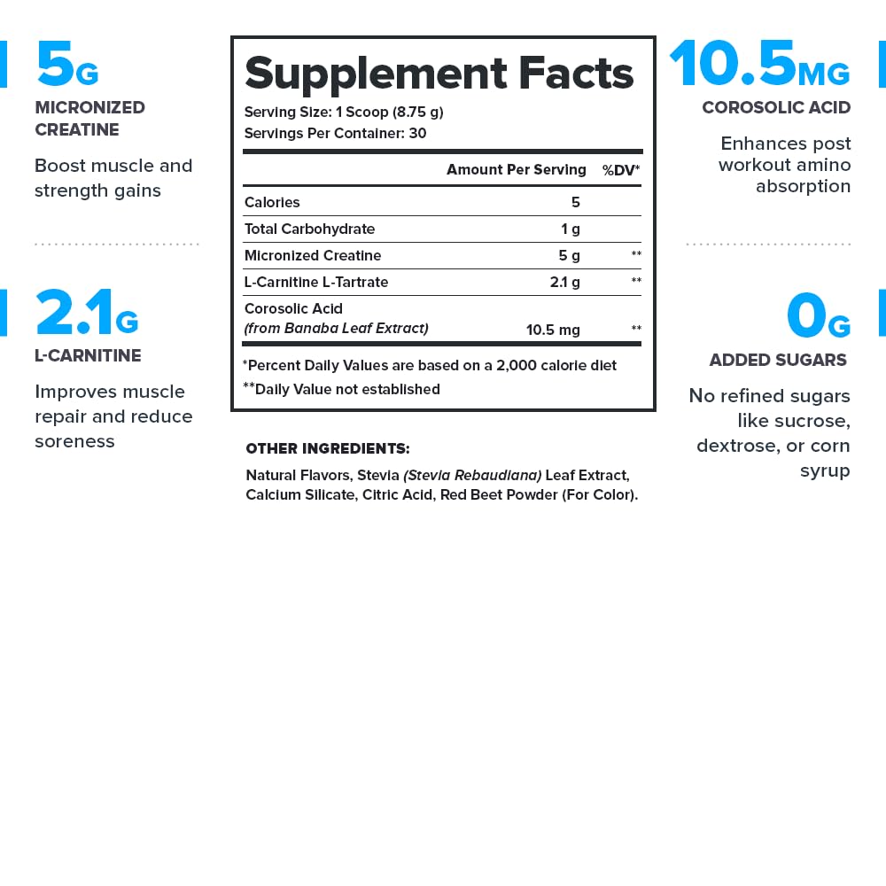 LEGION Recharge Post Workout Supplement