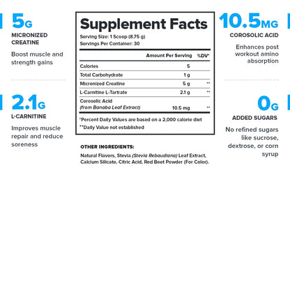 LEGION Recharge Post Workout Supplement