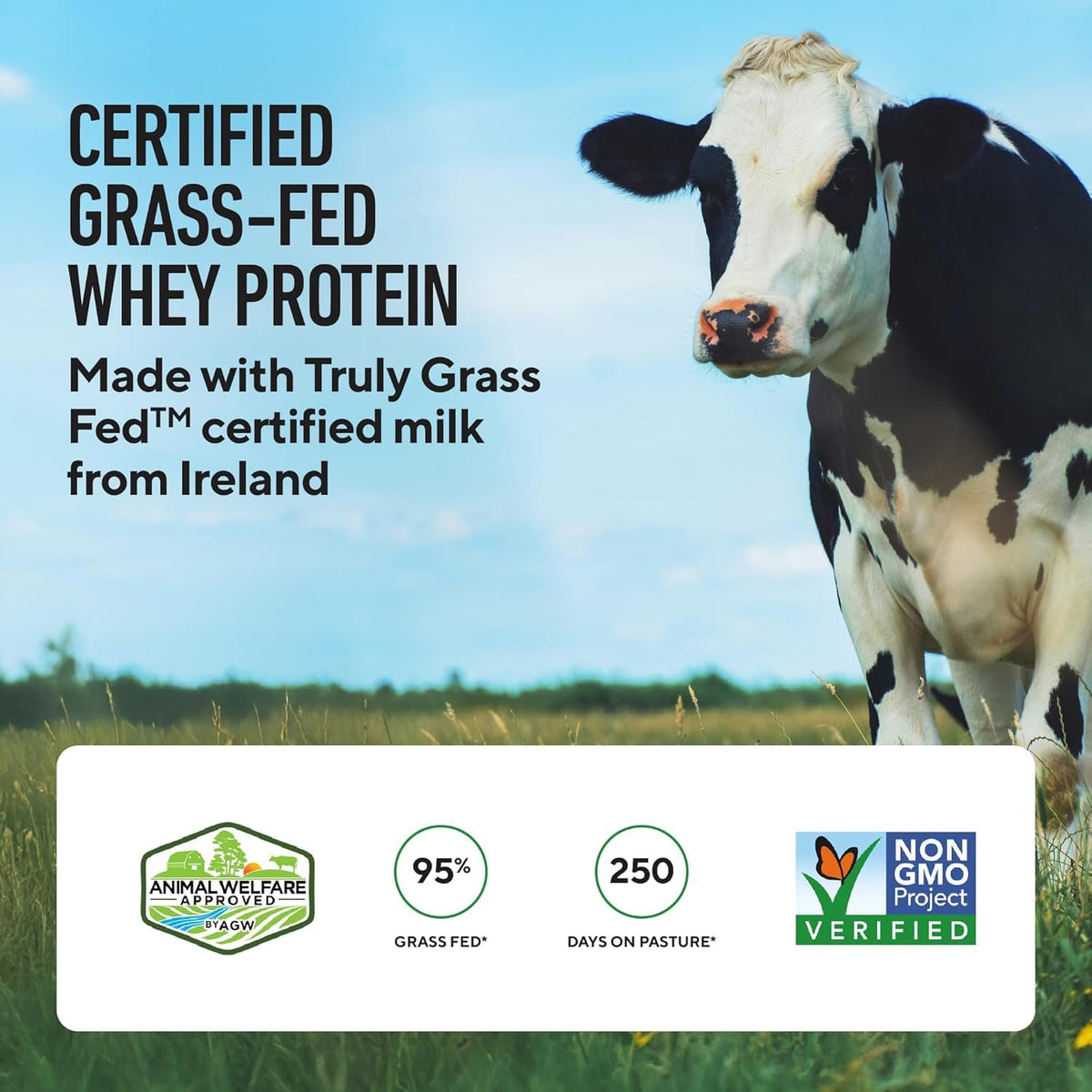 LEGION Whey+ Protein Whey Isolate from Grass Fed Cows