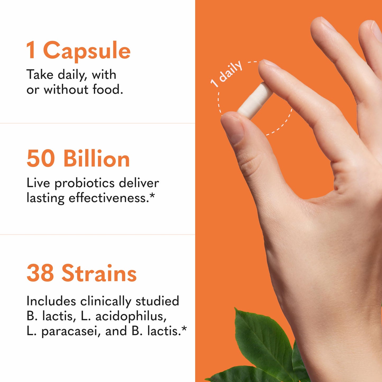 Garden of Life Raw Probiotics Ultimate Care