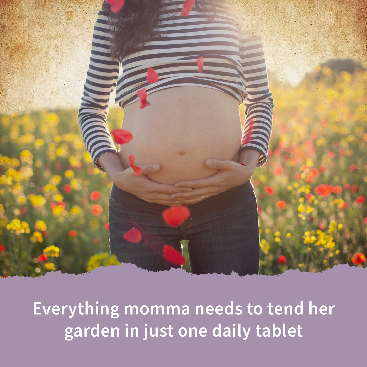 Garden of Life Organics Prenatal Once Daily