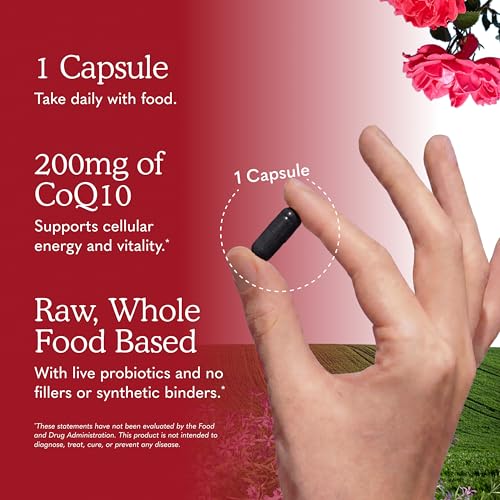 Garden of Life Vegetarian Omega 3 6 9 Supplement