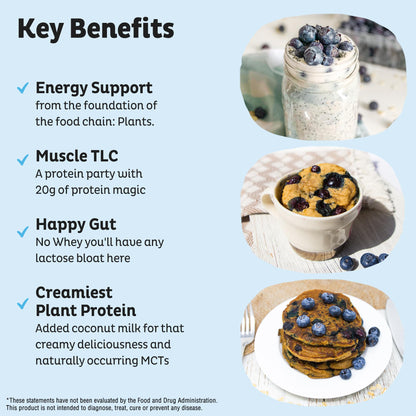 KOS Vegan Protein Powder Erythritol Free - Organic Pea Protein Blend