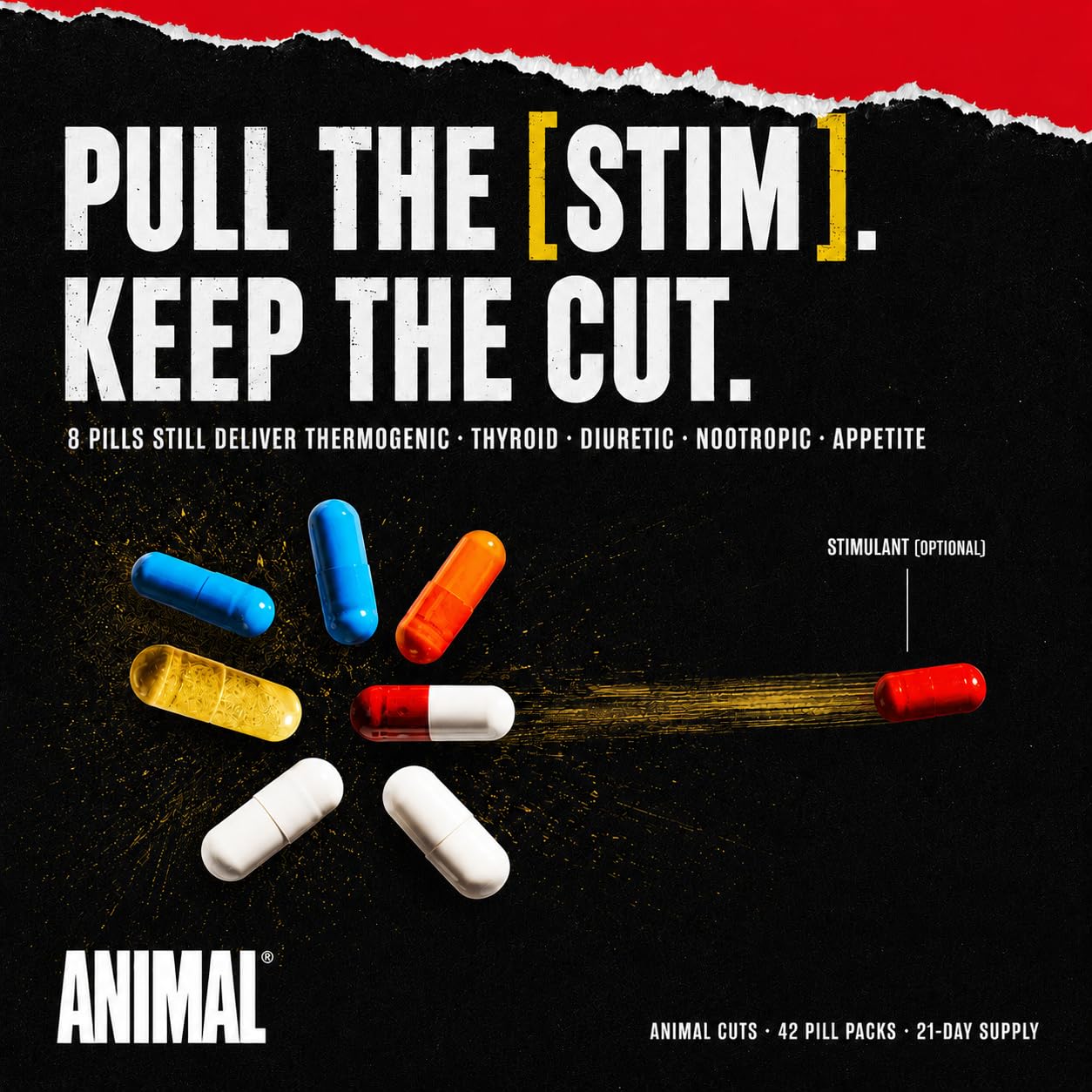 Animal