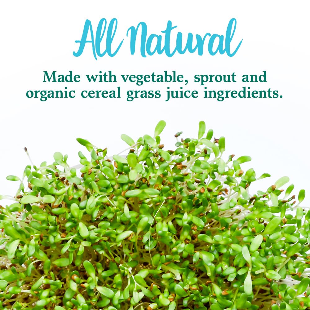 Garden of Life Perfect Food Powder