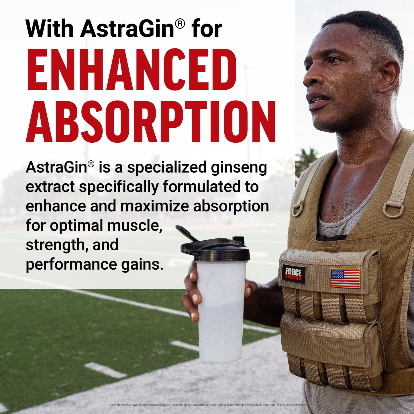 Force Factor Creatine Powder