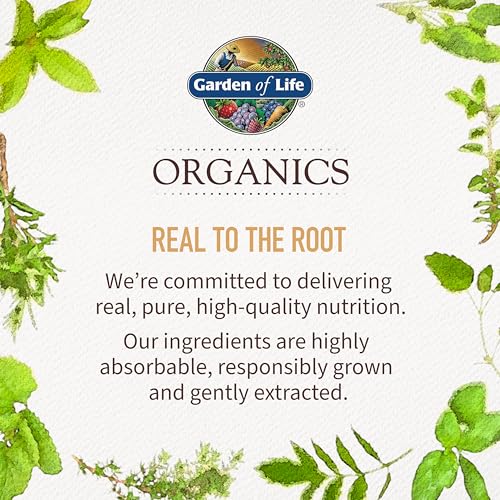 Garden of Life Once Daily Whole Food Multivitamin for Men