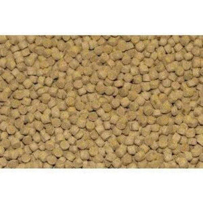 Northfin Cichlid Fish Food Parent