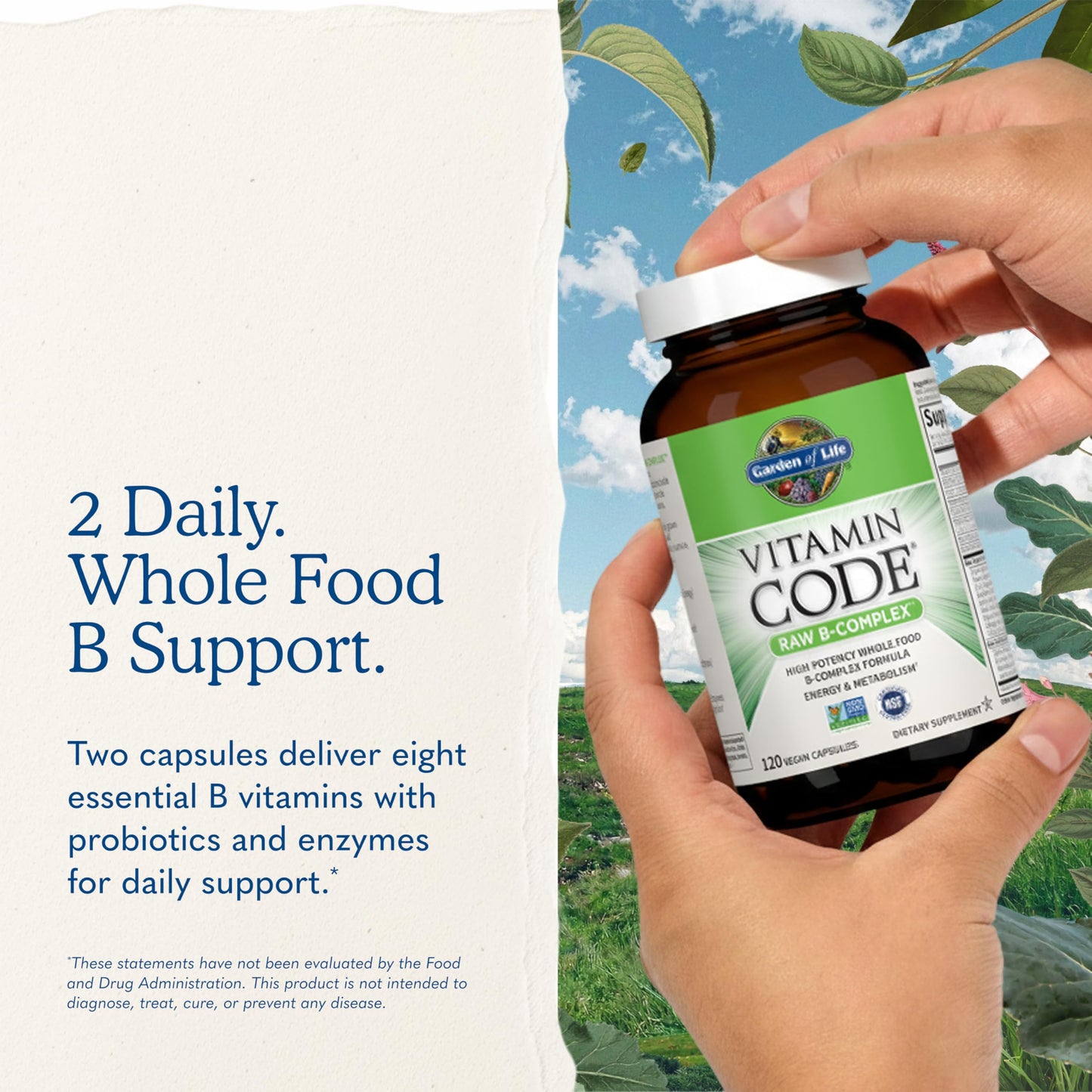 Garden of Life Vitamin Code B Complex