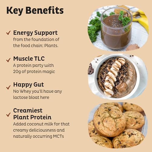 KOS Vegan Protein Powder Erythritol Free - Organic Pea Protein Blend