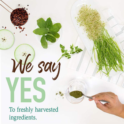 Garden of Life Raw Organic Perfect Food