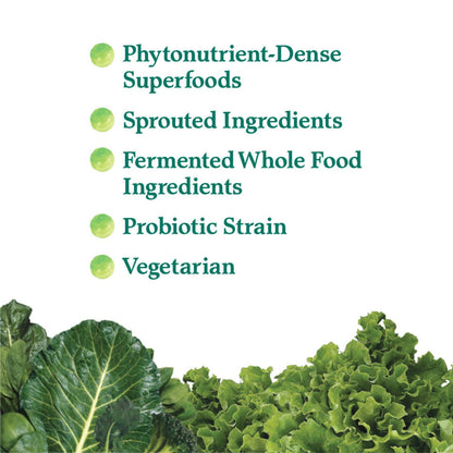 Garden of Life Perfect Food Powder