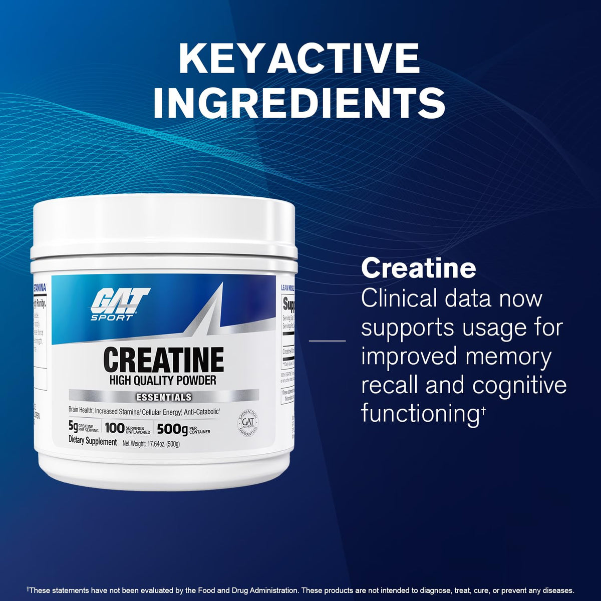 GAT SPORT Creatine Monohydrate Powder