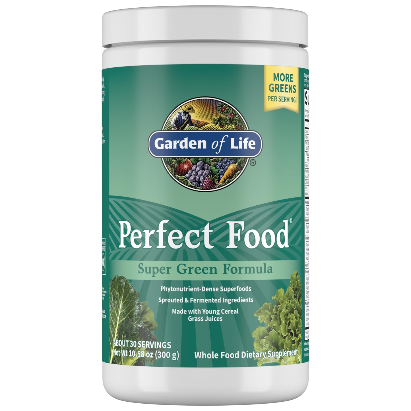 Garden of Life Perfect Food Powder