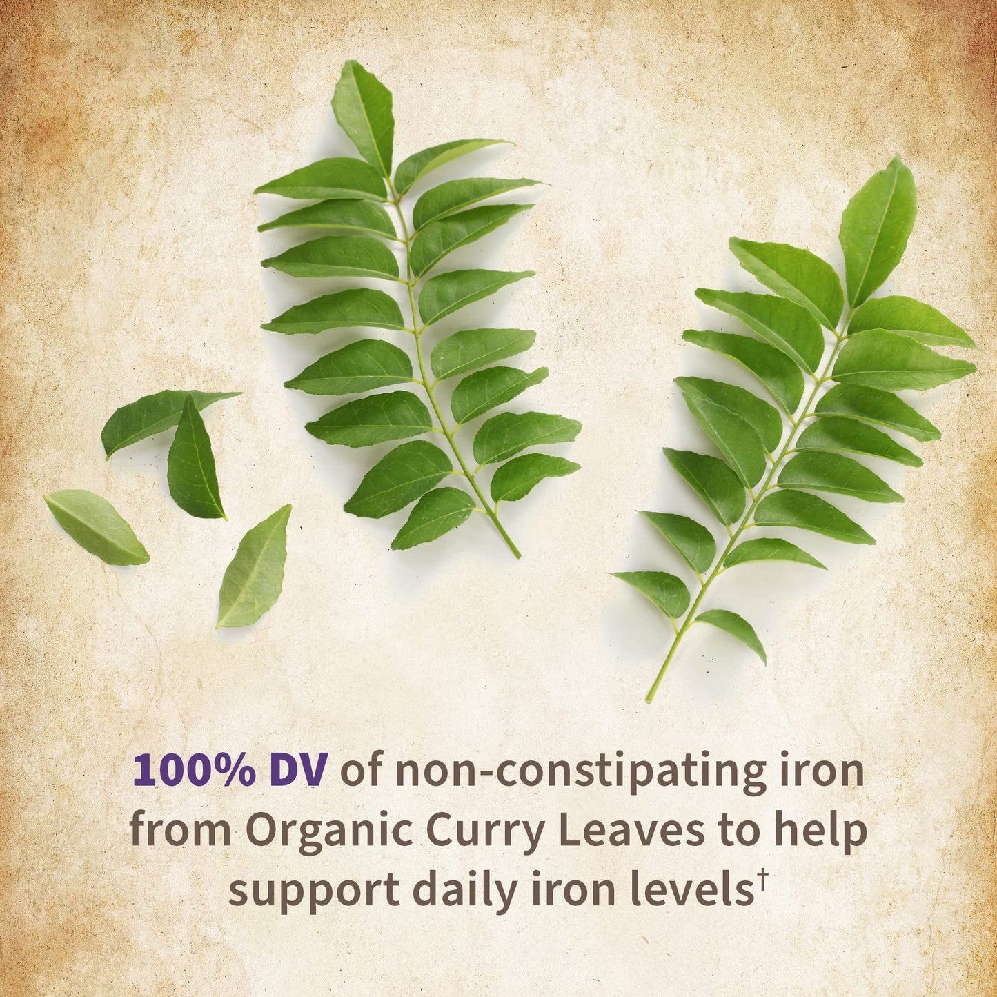 Garden of Life Organics Prenatal