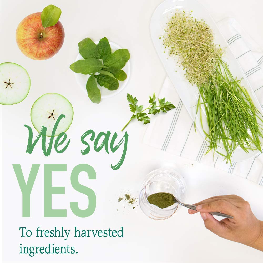 Garden of Life Raw Organic Perfect Food