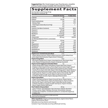 Garden of Life Raw Organic Perfect Food Energizer - Yerba Mate Pomegranate, 30 Servings