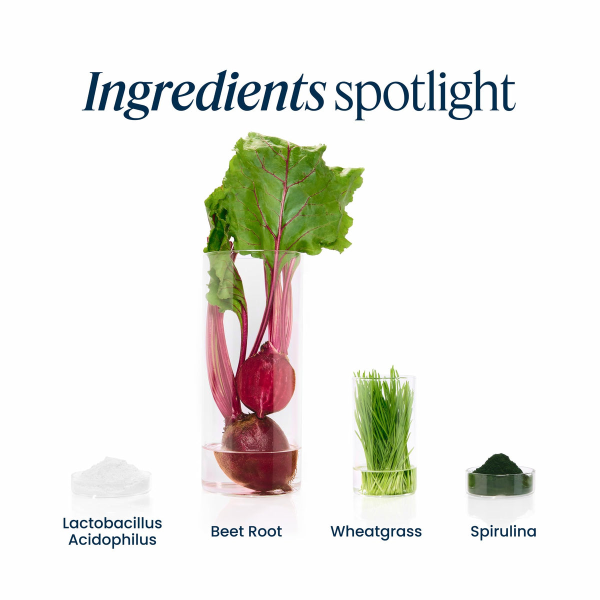 Vibrant Health Green Vibrance