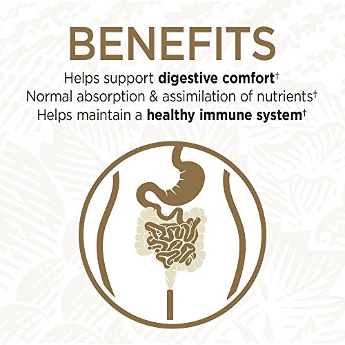 Garden of Life Whole Food Probiotic Supplement - Primal Defense Ultra
