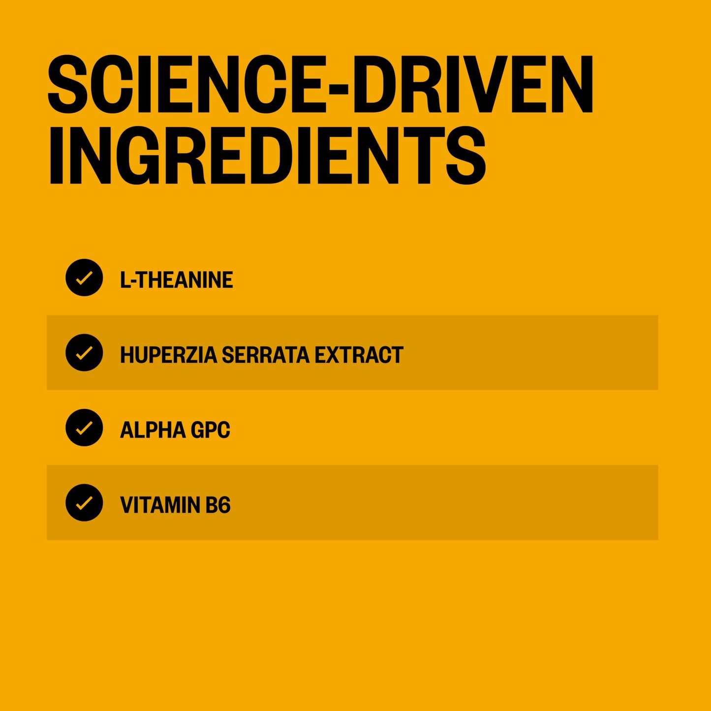 ONNIT Alpha Brain Instant - Pineapple Punch Flavor - Nootropic Brain Booster Memory Supplement - Brain Support for Focus, Energy & Clarity - Alpha GPC Choline, Cats Claw, L-Theanine, Bacopa - 30ct