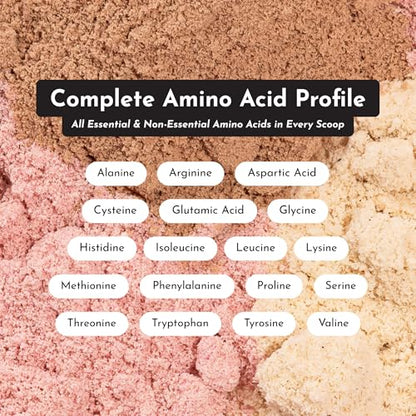 Protein Powder Made with 100% Grass Fed, Non Denatured Whey | Four Different Protein Sources from Organic Whole Food Ingredients | 15 Servings | 22g Protein