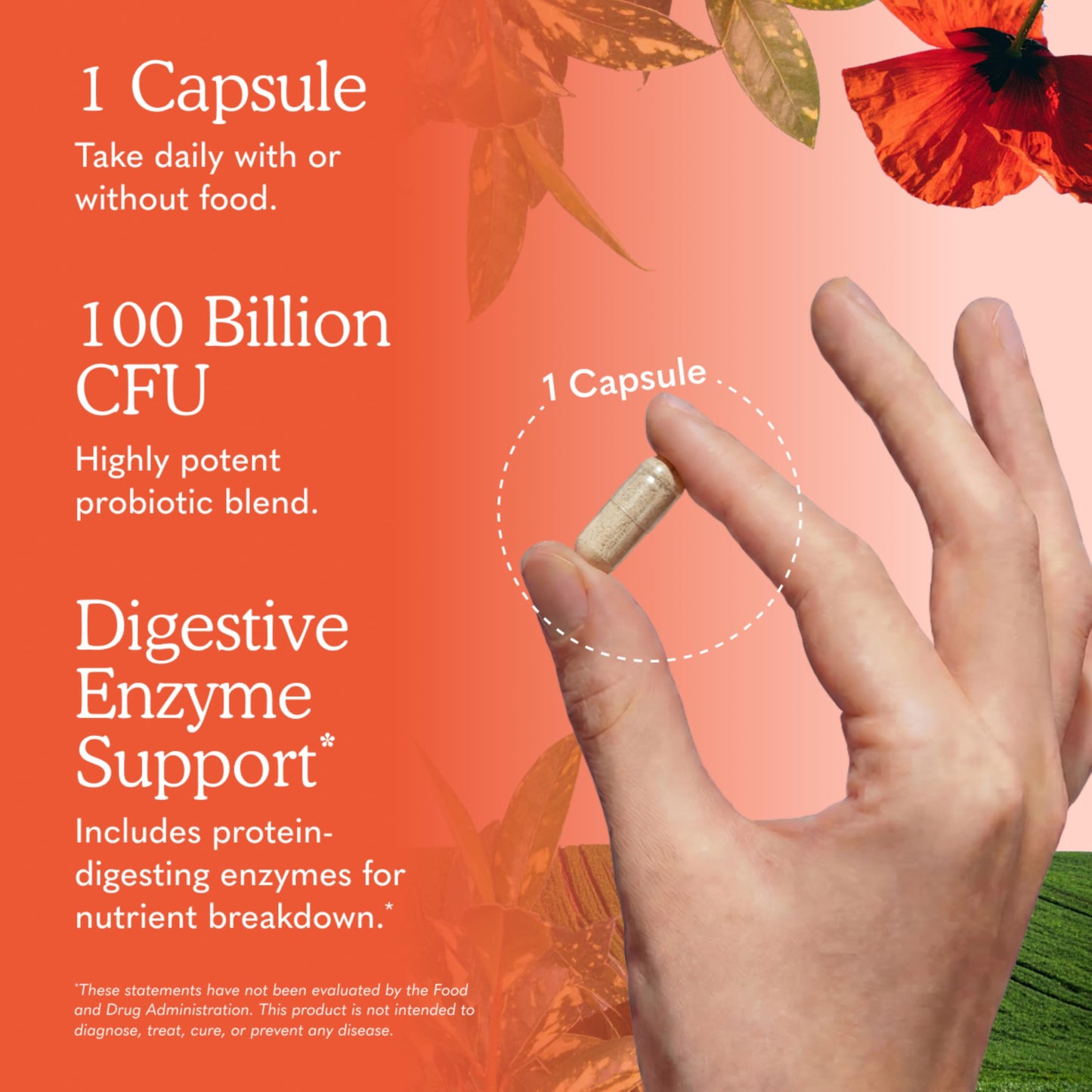 Garden of Life Raw Probiotics Ultimate Care