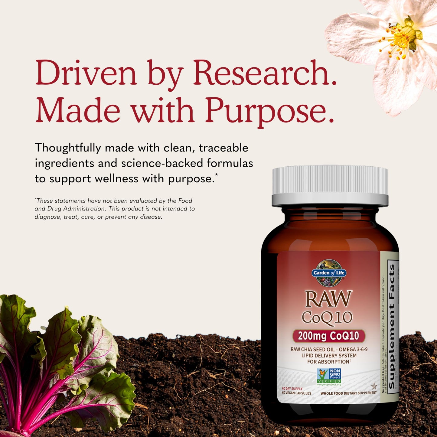 Garden of Life Vegetarian Omega 3 6 9 Supplement