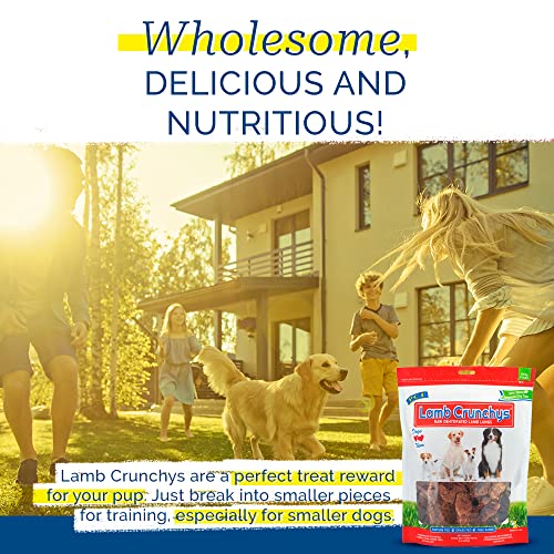 PCI Pet Center, Inc Lamb Crunchys Raw Dehydrated Lamb Lungs Dog Treats
