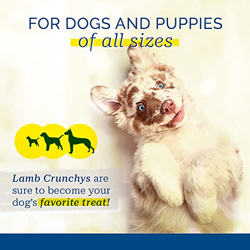 PCI Pet Center, Inc Lamb Crunchys Raw Dehydrated Lamb Lungs Dog Treats