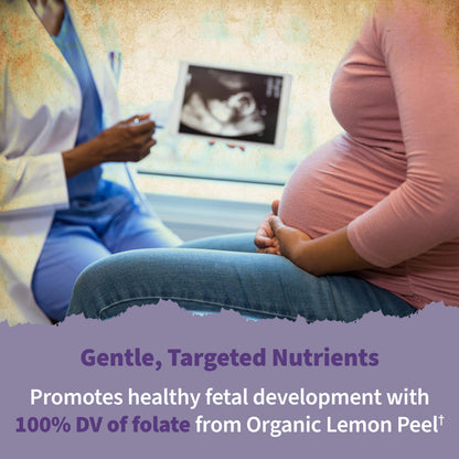 Garden of Life Organics Prenatal Once Daily