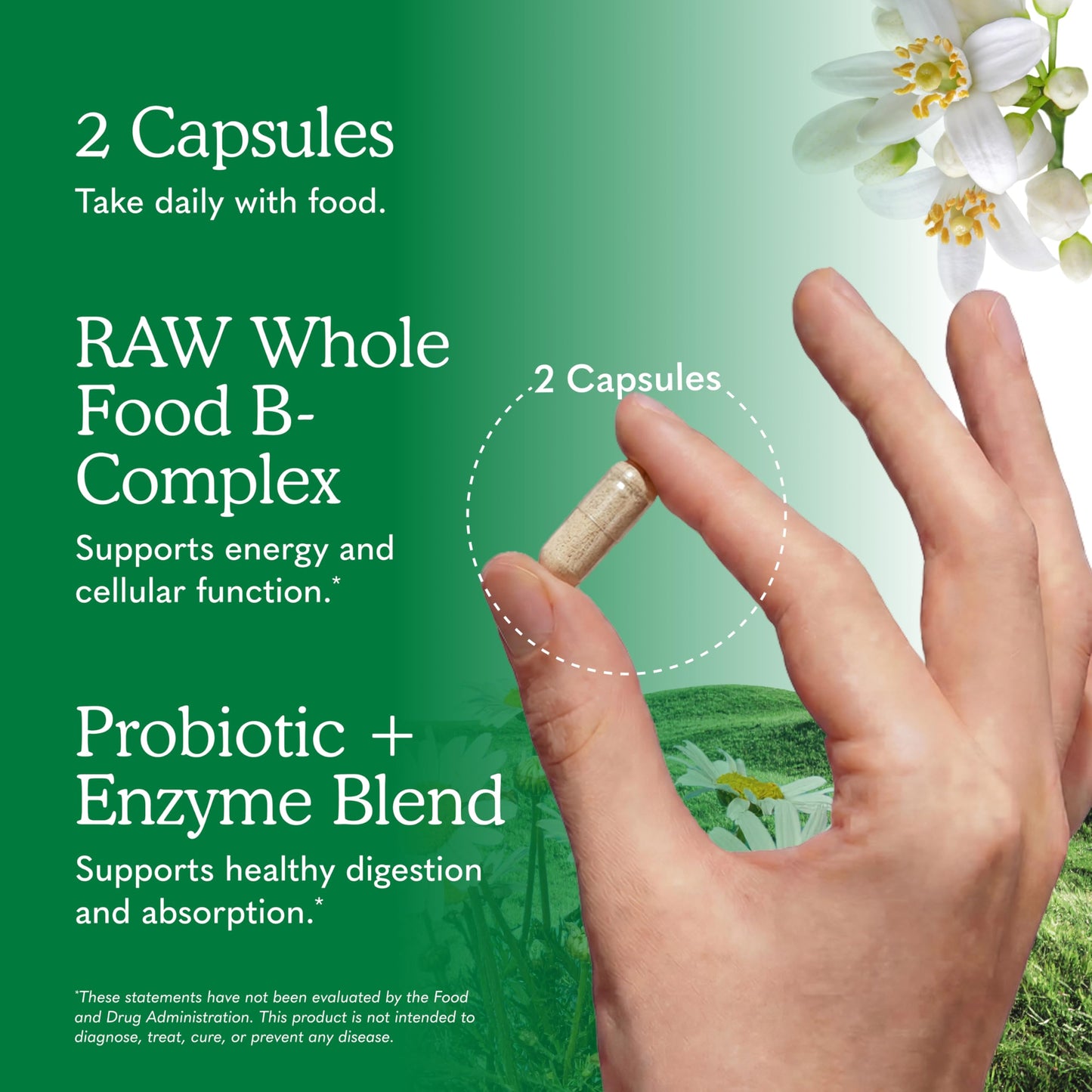 Garden of Life Vitamin Code B Complex