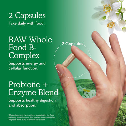 Garden of Life Vitamin Code B Complex