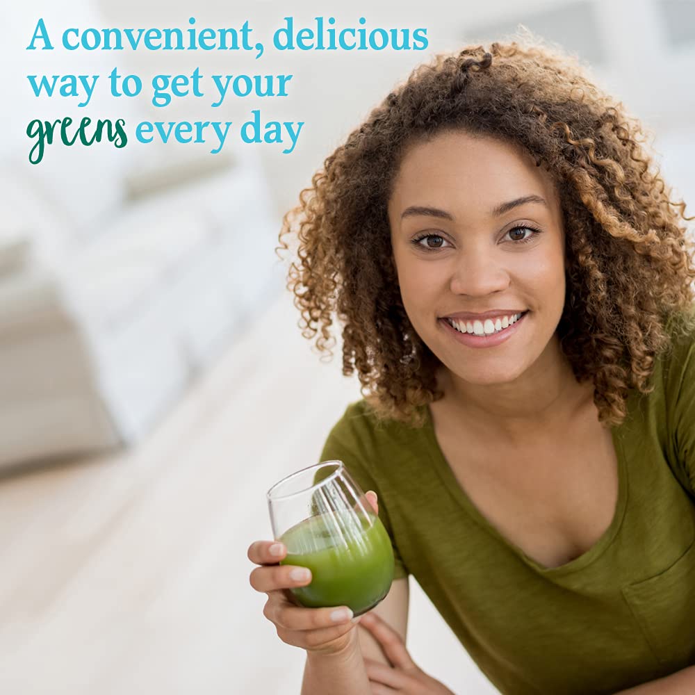 Garden of Life Perfect Food Powder